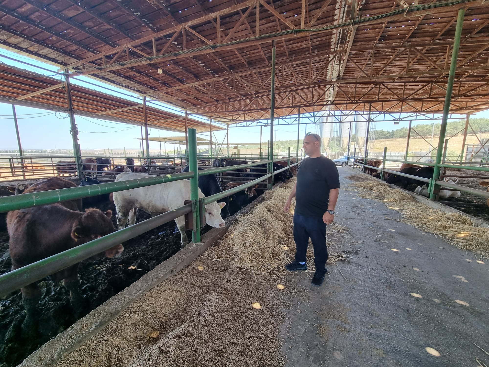 WhatsApp Image 2022-06-04 at 1.19.52 PM (1).jpeg